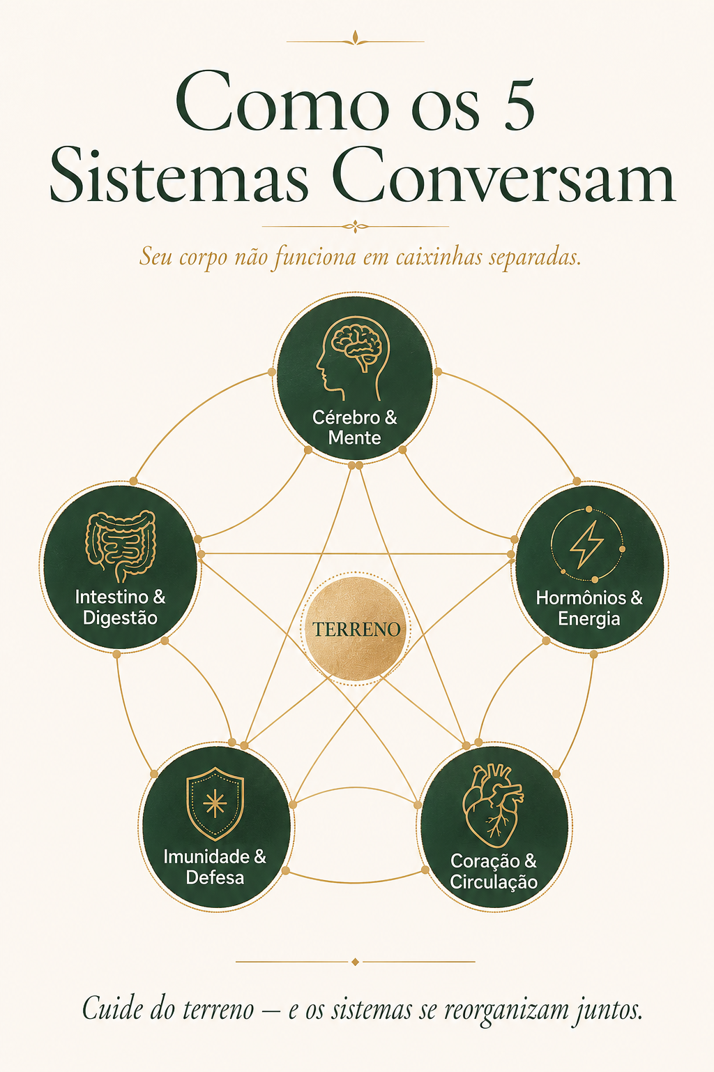Mapa visual conectando os 5 sistemas do corpo